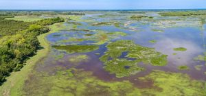 Aerial view of the Pantanal, south-central Brazil.