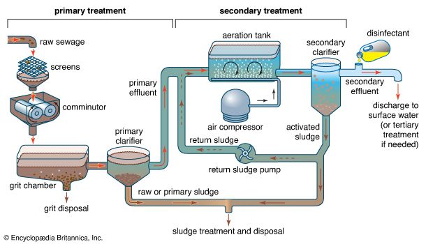 activated sludge process