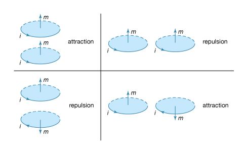 magnetic force between current loops