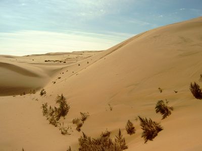 Gobi Desert