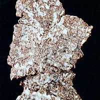 Dendritic (branching) silver from Ontario