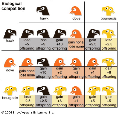 biological competition