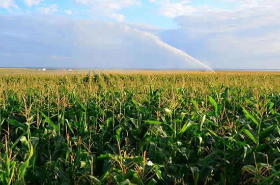 sprinkler system: farm in France