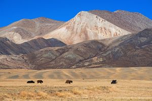 Plateau of Tibet