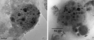 dust particles from Comet Wild 2 and interplanetary space