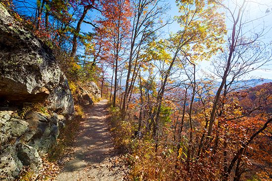 Appalachian National Scenic Trail