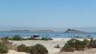 Colorado Desert: Salton Sea