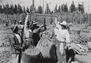 Bracero Program