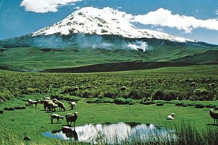 Chimborazo