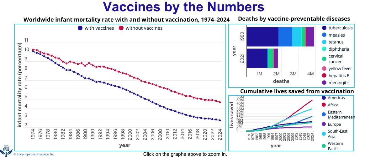 Vaccines by the numbers