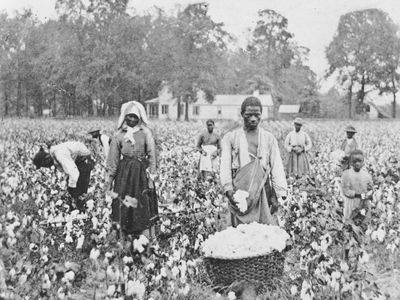 sharecropping