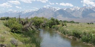 Owens River