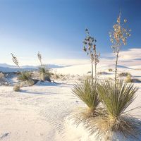 White Sands National Park