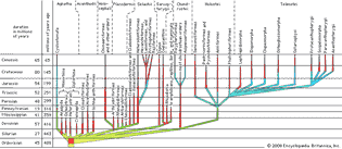 phyletic family tree for fishes