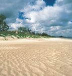 Indiana Dunes State Park