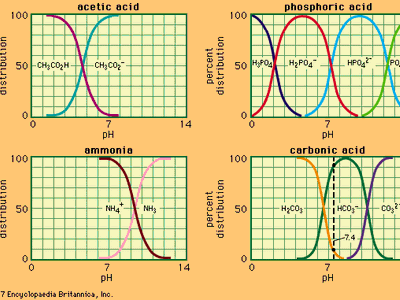 Relation between pH and composition for a number of commonly used buffer systems.