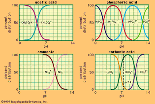 relation between pH and composition