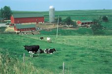 Wisconsin: dairy farm