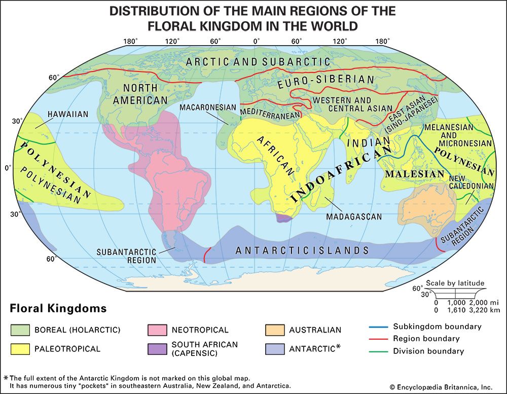 Earth's floral regions