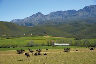 Oudtshoorn, South Africa