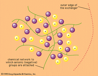 chemical structure of cation exchanger