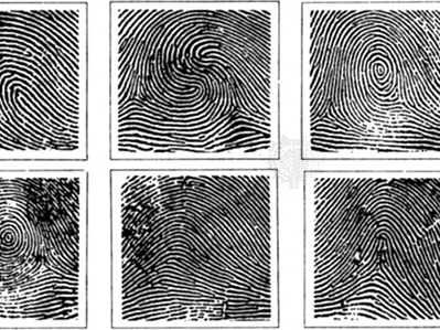 fingerprint patterns