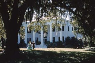 Plantation in Natchez, Miss.