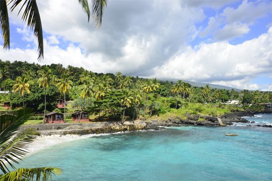 Comoros: vegetation