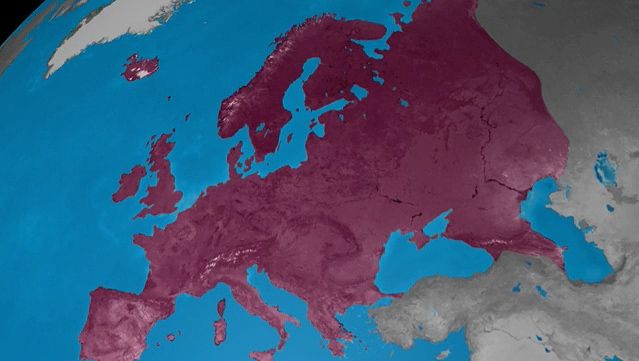 Learn how the world is divided into continents