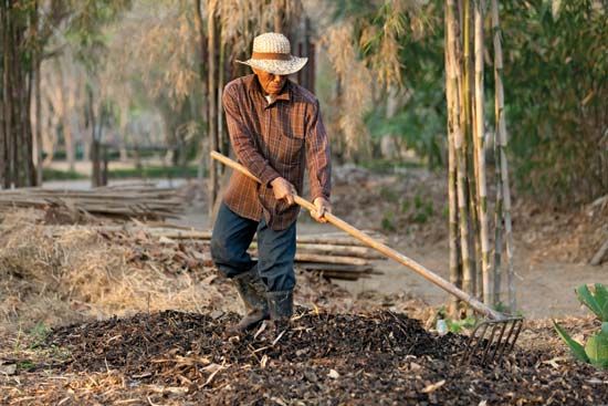 compost