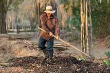 compost