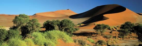 Namib desert