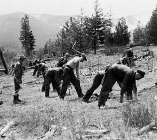 Civilian Conservation Corps