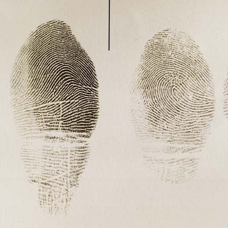 fingerprint