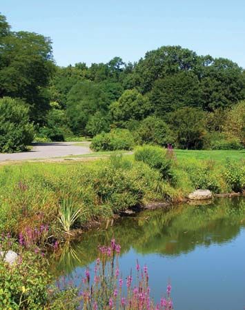 Arnold Arboretum of Harvard University