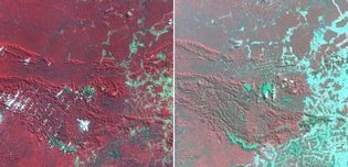 satellite imagery of deforestation