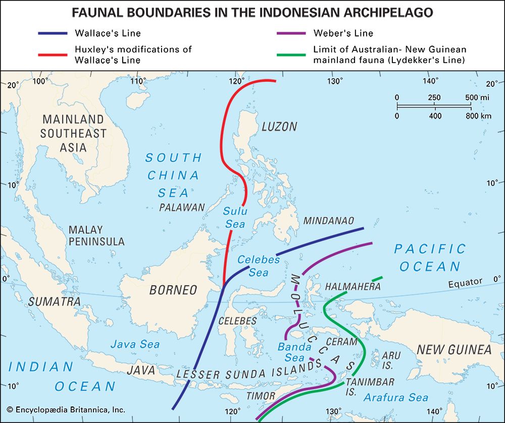 Indonesian faunal boundaries