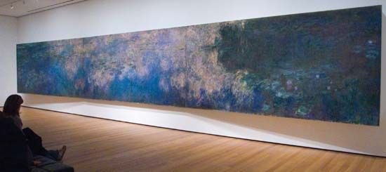 viewer observing Claude Monet's Reflections of Clouds on the Water-Lily Pond