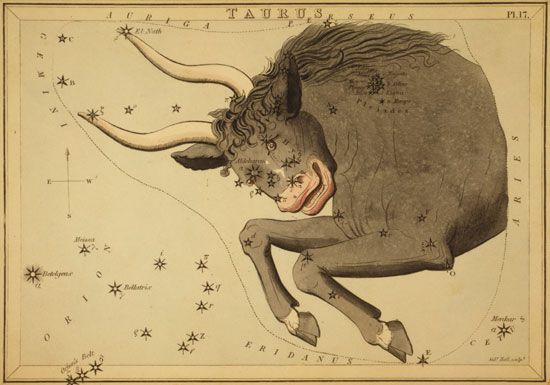 Taurus