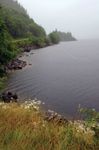 Vancouver Island: Kennedy Lake