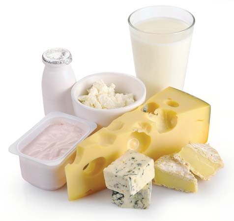 calcium; human nutrition