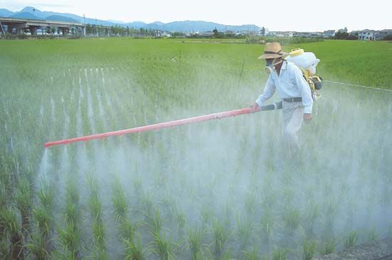 insecticide application