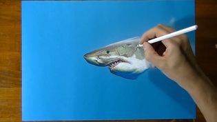 Watch Marcello Barenghi, a hyperrealist artist drawing a great white shark