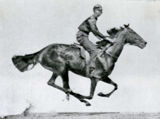 Eadweard Muybridge