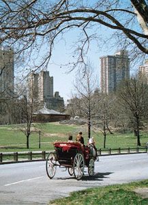 Central Park