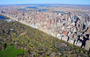 New York City's Central Park