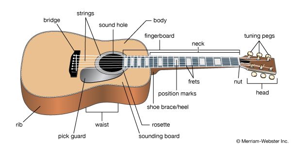 Features of a modern acoustic guitar.