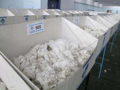 Merino wool samples