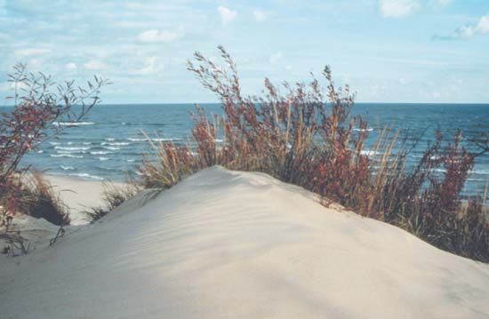 Indiana Dunes State Park, Chesterton, Indiana, U.S.