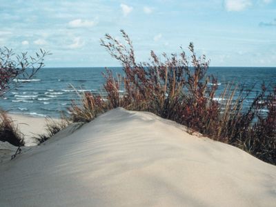 Indiana Dunes State Park, Chesterton, Indiana, U.S.